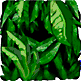 Benutzeravatar