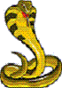 Benutzeravatar